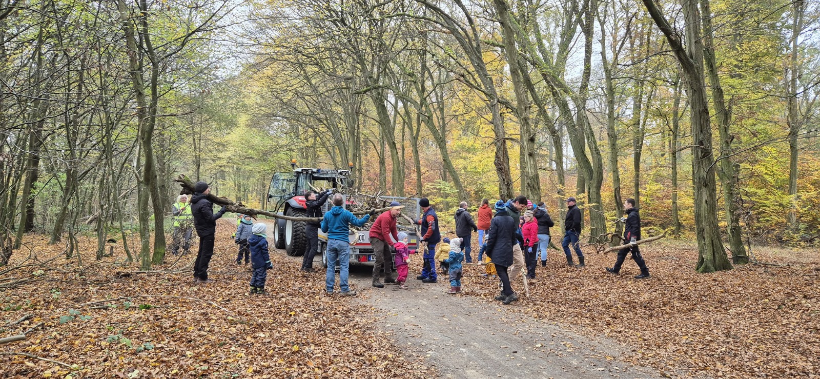 Holzsammeln für das Martinsfeuer